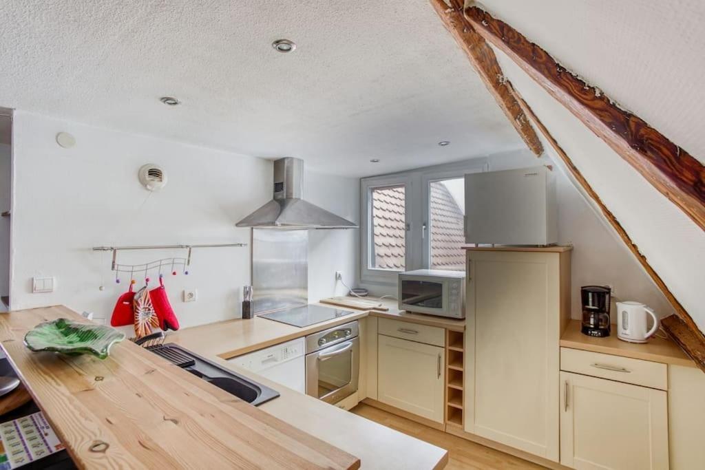 Le Cocon Alsacien Apartment Страсбург Екстериор снимка